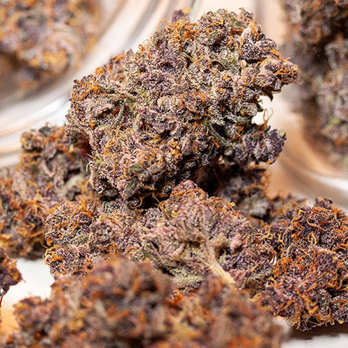 Online Hanfsamen kaufen | Auto Blackberry Kush