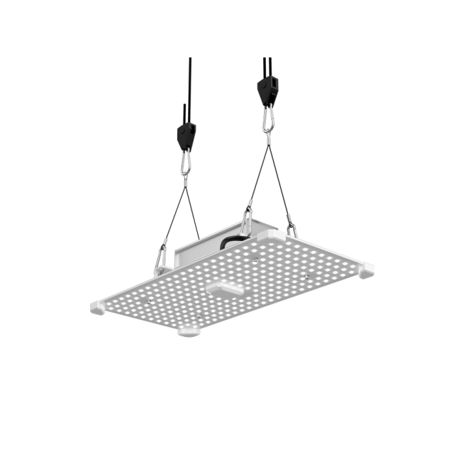 Lumii Black Blade Led 100W Wachstumsspektrum